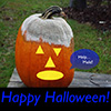 Moldy Halloween Jack-o-lantern asking for help.