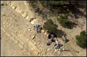 Photo: Students on the side of a steep hill looking for fish bones