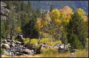 Photo: Fall colors along Highway 50