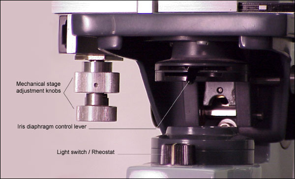 Image of microscope with labeled parts