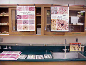 Photo of the lab's cabinets