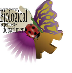Decorative logo for the Biological Sciences Department