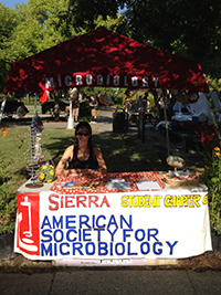 Student sitting behind ASM display table on Rocklin campus.