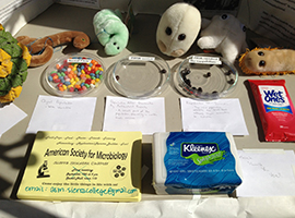 Plush microbes and jellybeans on ASM display table.