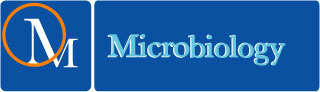 decorative image with text "microbiology"