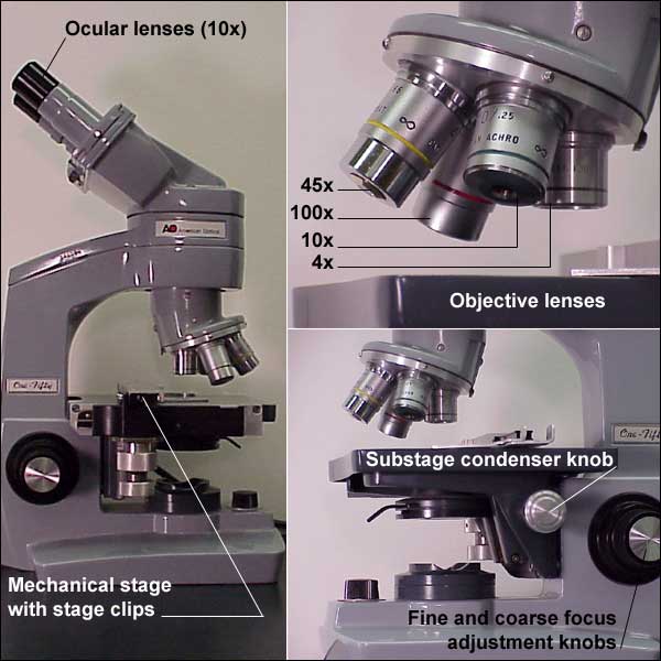 Images of microscope with labeled parts