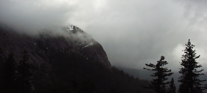 decorative photograph of yosemite trees and mountains